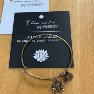 Alex and Ani Bracelet